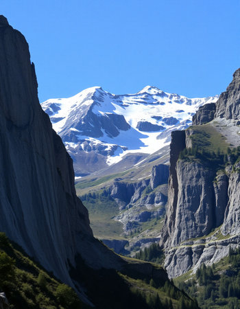Swiss Alpsfraujoch, Bernese Oberlandの写真素材