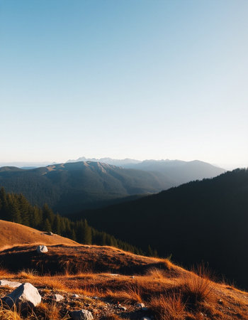 Mountain landscape in the morning light. Carpathians, Ukraineの写真素材