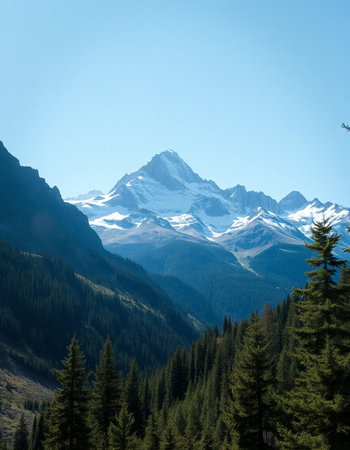 Mountain landscape with coniferous forest and snow-capped peaks