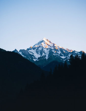 Cruise ship on the sea. Vector illustration in flat style.の写真素材