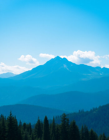 Mountain landscape with forest and blue sky.の写真素材