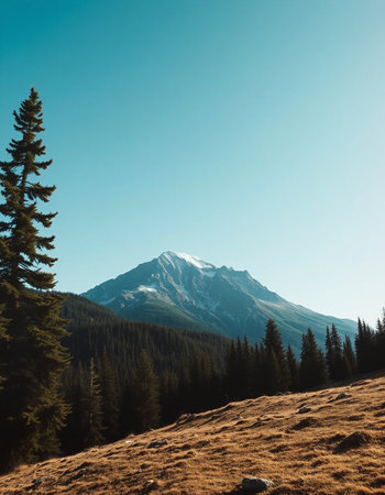 Mountains and coniferous forest on the background of blue skyの写真素材