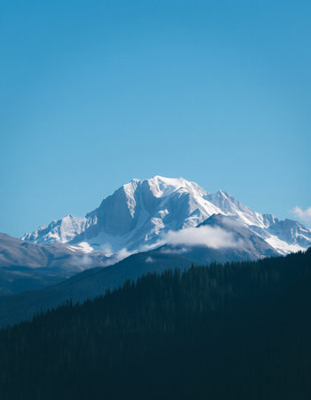 Mountain landscape with snow-capped peaks and coniferous forestの写真素材