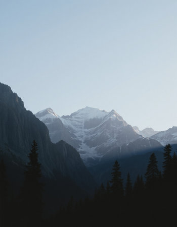 Mountains and coniferous forest in Himalayas, Nepalの写真素材