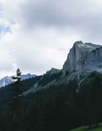View of the Dolomites in South Tyrol, Italy.の写真素材