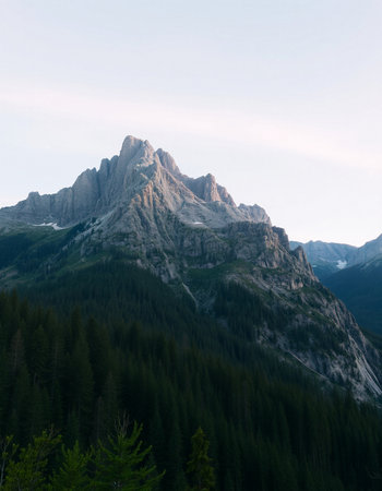Mountain landscape with coniferous forest in Dolomites, Italyの写真素材