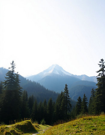 Mountain landscape in the Dolomites, South Tyrol, Italyの写真素材