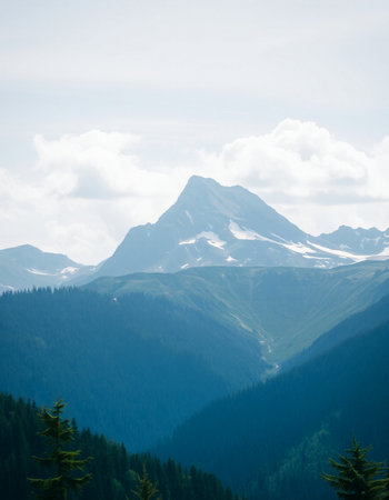 Mountain landscape with snow covered peaks and coniferous forest.の写真素材