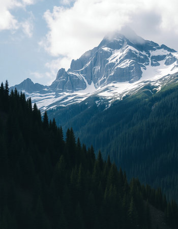 Pork loin with sauce and green beans on a wooden tableの写真素材