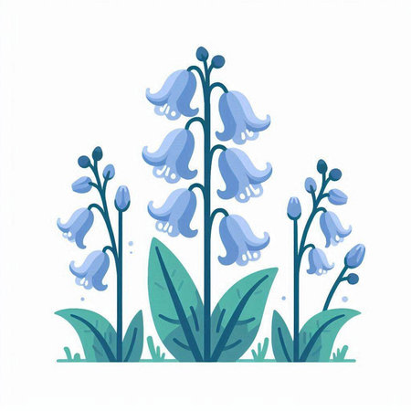 Bluebells. Isolated on white background. Vector illustration.のイラスト素材