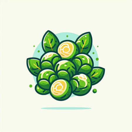Illustration of green brussels sprouts. Vector illustration.のイラスト素材