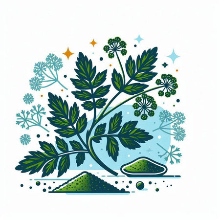 Hand drawn vector illustration with herbs and sea salt on white background.のイラスト素材