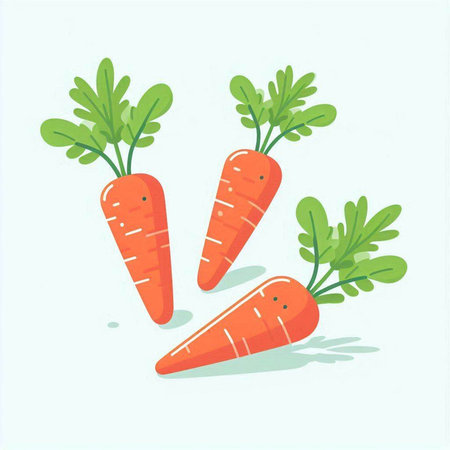 Carrot icon isolated on white background. Vegetable vector illustration.のイラスト素材