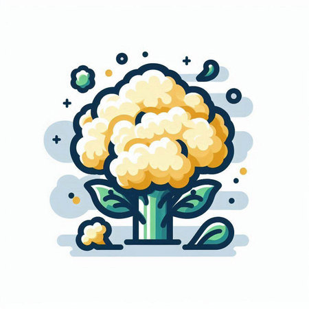 Cauliflower vector illustration, flat design. Cauliflower iconのイラスト素材