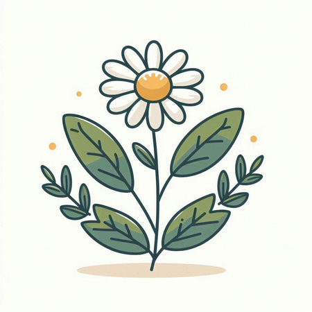 Chamomile flower with leaves. Hand drawn vector illustration.のイラスト素材