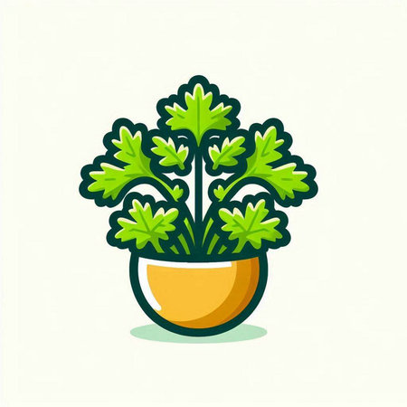 Parsley in a pot. Vector illustration. Isolated on white background.のイラスト素材