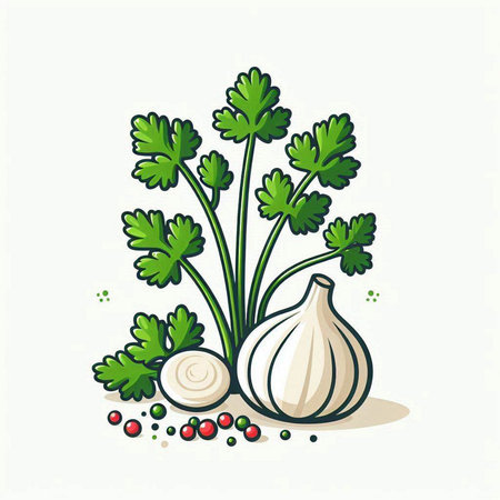 Illustration of a bunch of parsley with garlic and peppercornsのイラスト素材