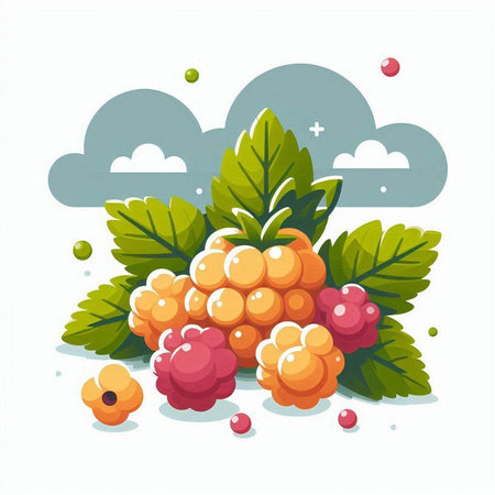 Bunch of raspberries with green leaves. Vector illustration.のイラスト素材