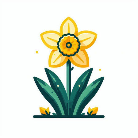 Yellow daffodil flower with green leaves. Flat vector illustration.のイラスト素材