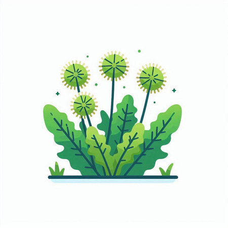 Dandelion flower flat color vector icon. Isolated on white background.のイラスト素材