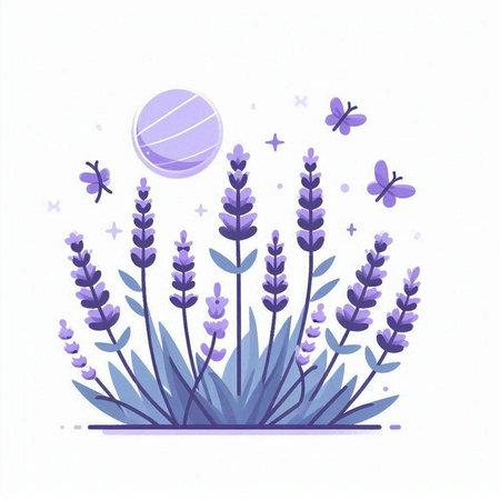 Vector illustration of lavender flowers and butterflies. Isolated objects on white background.のイラスト素材