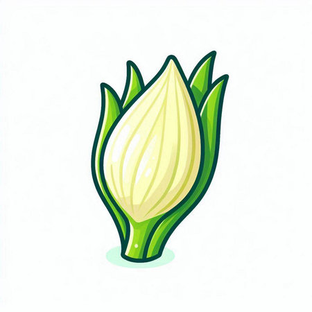 Illustration of a green onion isolated on a white background - vectorのイラスト素材