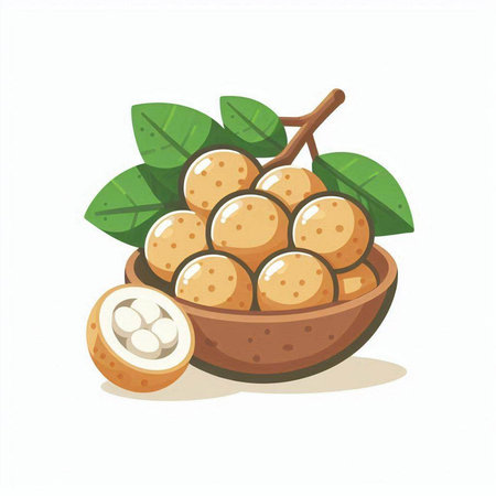 Longan fruit in a wooden bowl isolated on white background. Vector illustration.のイラスト素材