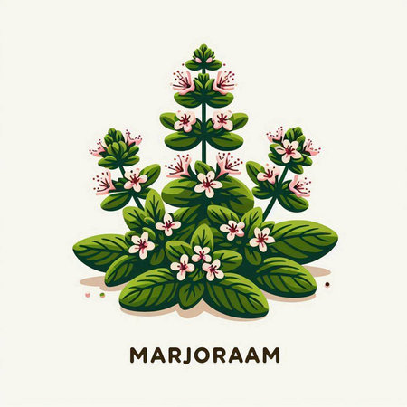 Mortarberry vector illustration. Mortarberry plant.のイラスト素材