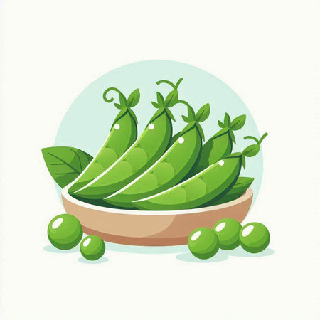 Fresh green peas in a wooden bowl on a white background. Vector illustration.のイラスト素材