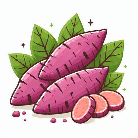 Sweet potato vector illustration. Whole sweet potato with leaves isolated on white background.のイラスト素材