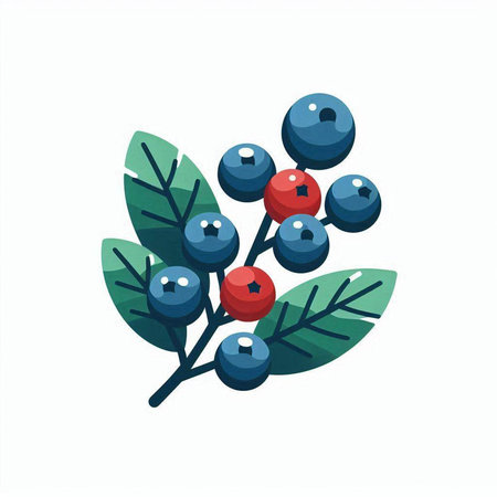 Branch with berries and leaves. Vector illustration in flat style.のイラスト素材