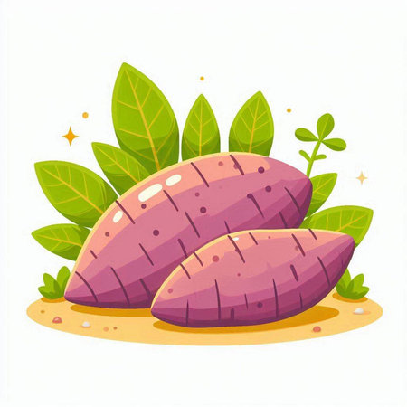 Sweet potato vector illustration isolated on white background. Cartoon sweet potato with leaves.のイラスト素材