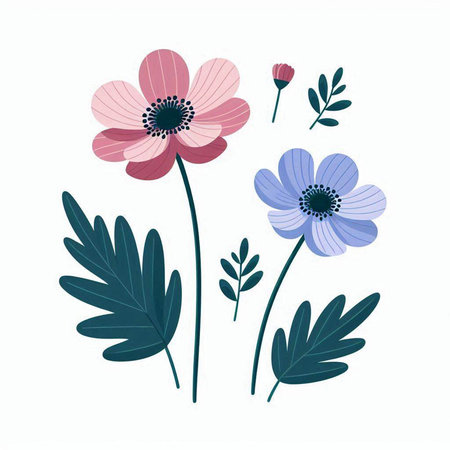 Beautiful hand drawn vector illustration of anemone flowers and leavesのイラスト素材