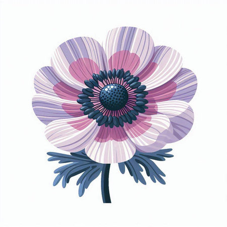 Hand drawn vector illustration of anemone flower. Isolated on white background.のイラスト素材