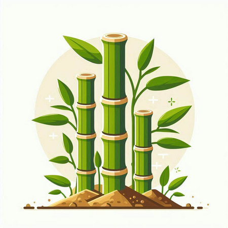 Illustration of green bamboo plants on white background. Vector illustration.のイラスト素材