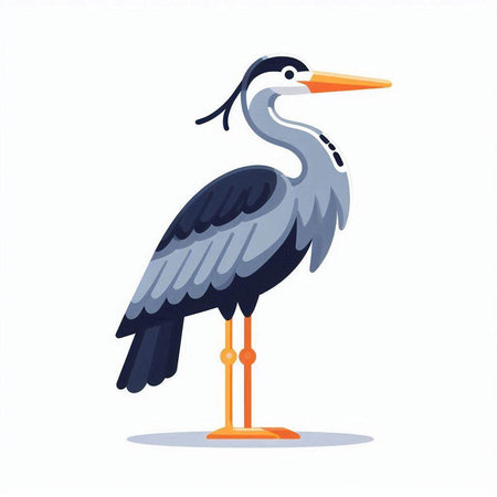 Grey heron isolated on white background. Vector illustration in cartoon style.のイラスト素材