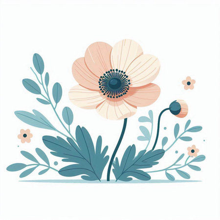vector illustration of anemone with leaves and flowers on a white backgroundのイラスト素材