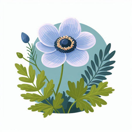 vector illustration of blue anemone flower with leaves on white backgroundのイラスト素材