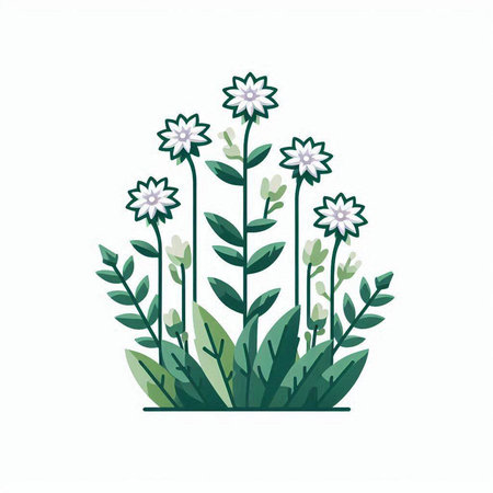 Flower vector illustration. Isolated on white background. Flat style.のイラスト素材