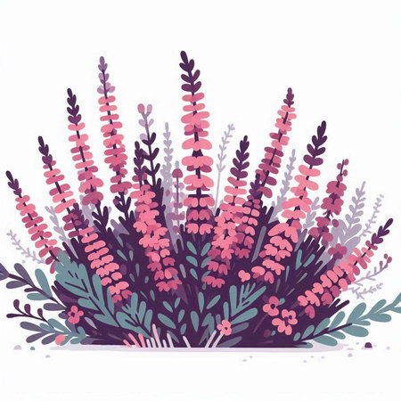 Vector illustration of hand drawn lavender flowers. Floral background.のイラスト素材