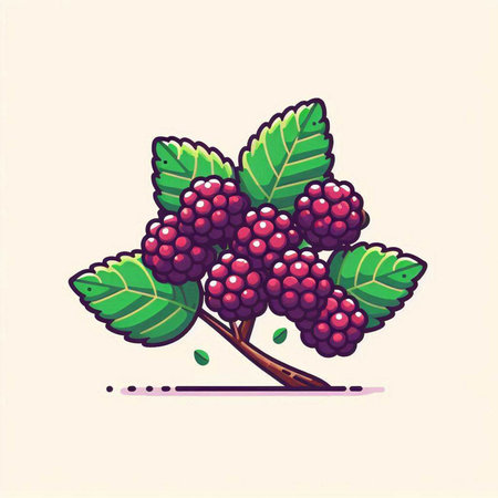Ripe blackberries on a branch with leaves. Vector illustration.のイラスト素材