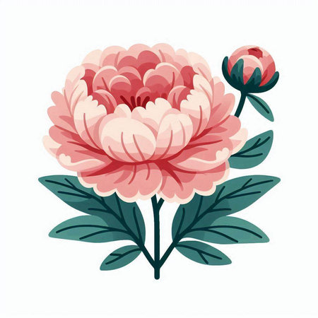 Beautiful pink peony flower with green leaves. Vector illustration.のイラスト素材