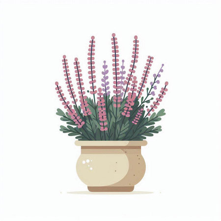Flowerpot with heather. Vector illustration isolated on white background.のイラスト素材