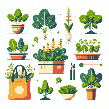 Set of different types of green plants in pots. Vector illustration.のイラスト素材