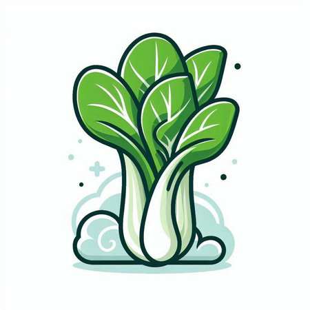 Bok choy, chinese cabbage, fresh vegetable vector illustrationのイラスト素材