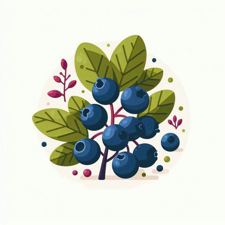 Blueberry bunch. Vector illustration on white background. Flat style.のイラスト素材