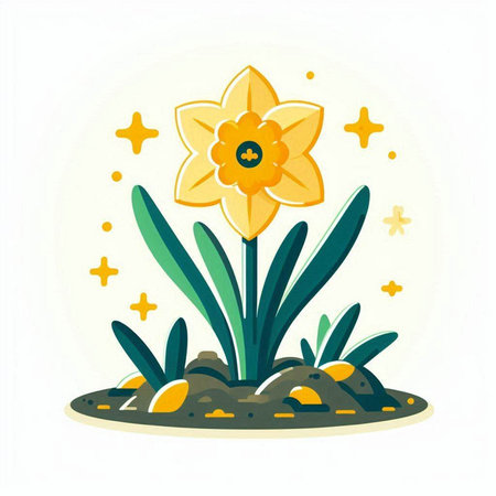Daffodil flower in the garden. Flat vector illustration.のイラスト素材