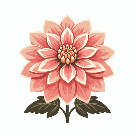 Illustration of a pink dahlia flower on a white backgroundのイラスト素材