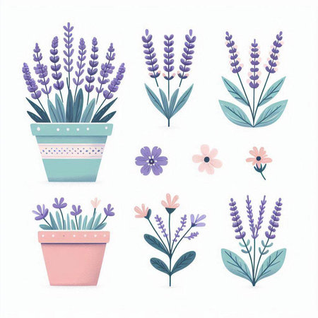 Set of lavender flowers in pots isolated on white background. Vector illustration.のイラスト素材