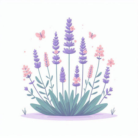 Lavender flowers design, floral nature plant ornament garden decoration and botany theme Vector illustrationのイラスト素材